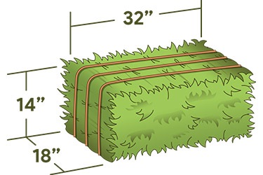 bale-size NEW.jpg